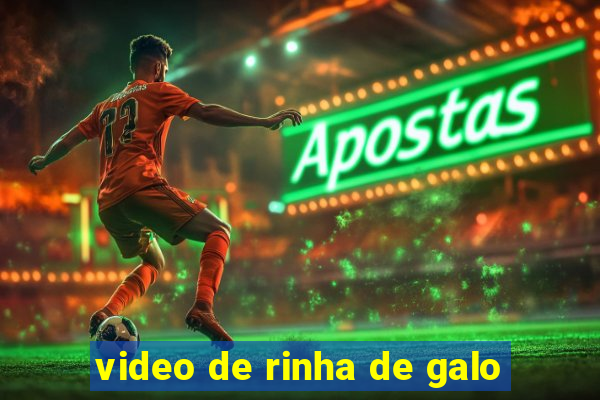 video de rinha de galo